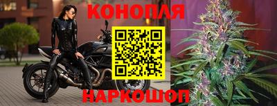 spice Бугуруслан